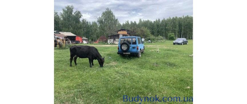 довгострокова оренда ділянка сільськогосподарського призначення Радомишльський, Кочерів, 25000 $/міс.