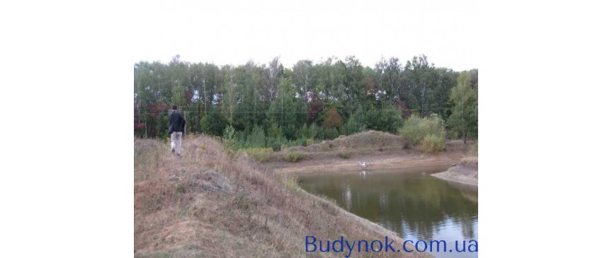 довгострокова оренда ділянка сільськогосподарського призначення Радомишльський, Кочерів, 25000 $/міс.