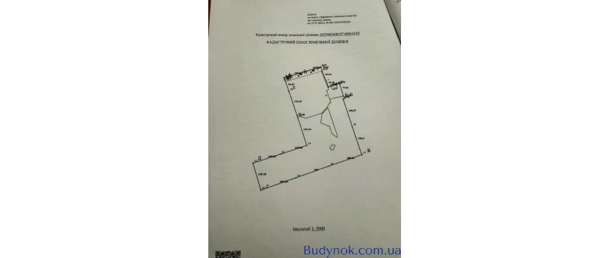 довгострокова оренда ділянка сільськогосподарського призначення Радомишльський, Кочерів, 25000 $/міс.