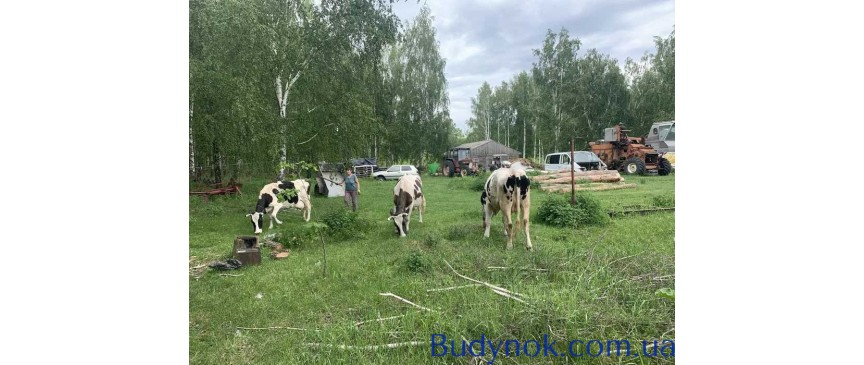 довгострокова оренда ділянка сільськогосподарського призначення Радомишльський, Кочерів, 25000 $/міс.