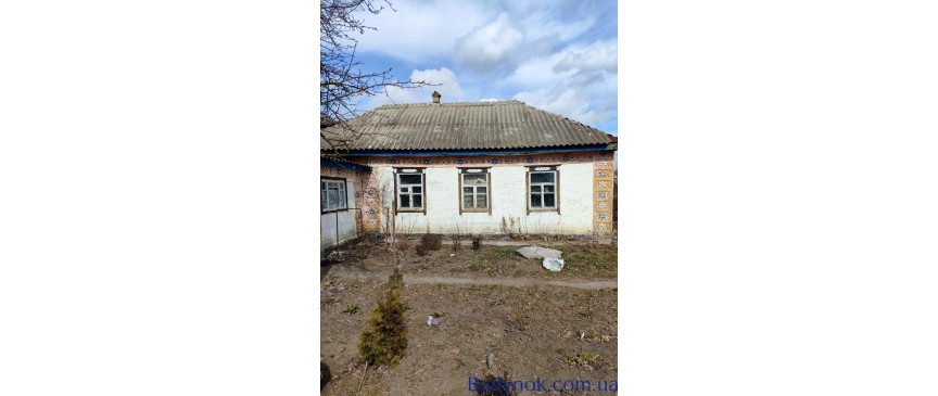 Продаж будинку в Торговиці