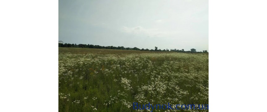 Продається ідеальна ділянка для садівництва та господарства в Гостомелі