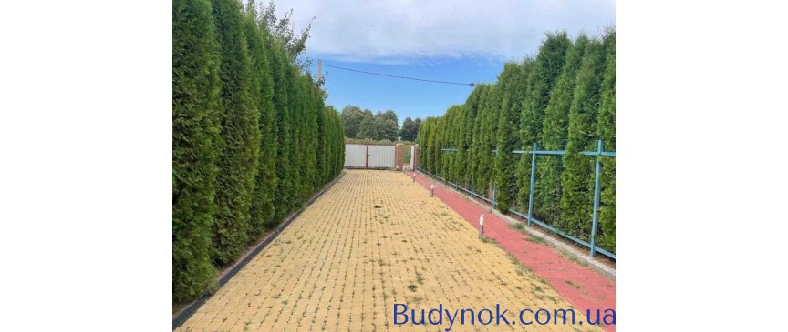 продаж 5-к котедж Броварський, Зазим`я, 140000 $