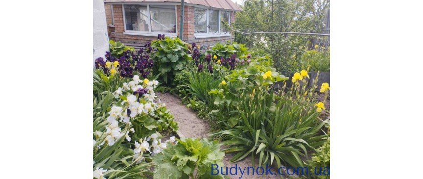 продаж 4-к будинок Фастівський, Фастівець, 80000 $