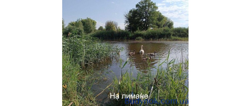 продаж 5-к дача Роздільнянський, Бурдівка, 45000 $