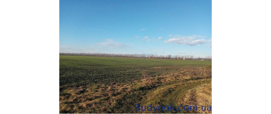 Продаж земельної ділянки м. Івано-Франківськ 