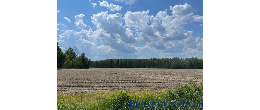 продаж ділянка сільськогосподарського призначення Макарівський, Мар`янівка, 105000 грн.