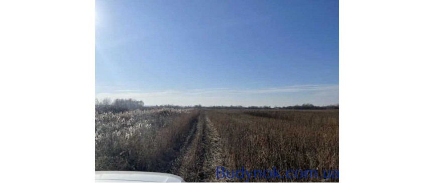 продаж ділянка сільськогосподарського призначення Броварський, Пухівка, 422304 грн.