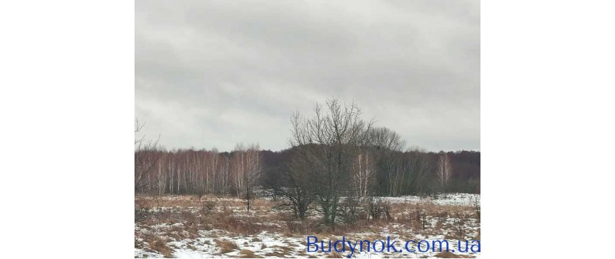 продаж ділянка сільськогосподарського призначення Бориспільський, Сошників, 65596 грн.