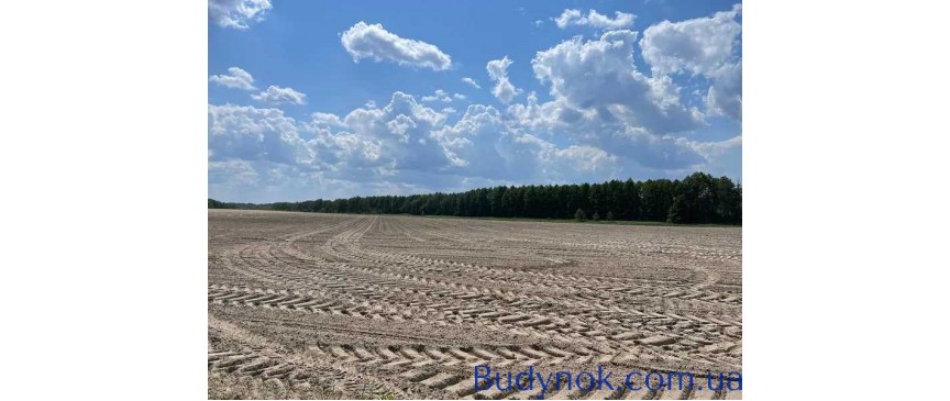 продаж ділянка сільськогосподарського призначення Макарівський, Мар`янівка, 105000 грн.