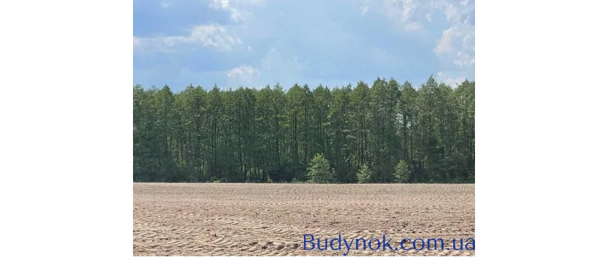 продаж ділянка сільськогосподарського призначення Макарівський, Мар`янівка, 105000 грн.