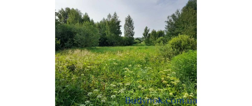 продаж ділянка під житлову забудову Макарівський, Кодра, 9500 $