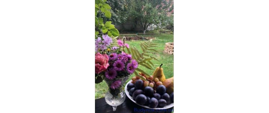 продаж 3-к дача Обухівський, Підгірці, 45000 $