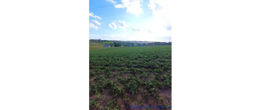 продаж ділянка сільськогосподарського призначення Рівне, Бармаки, 75000 $