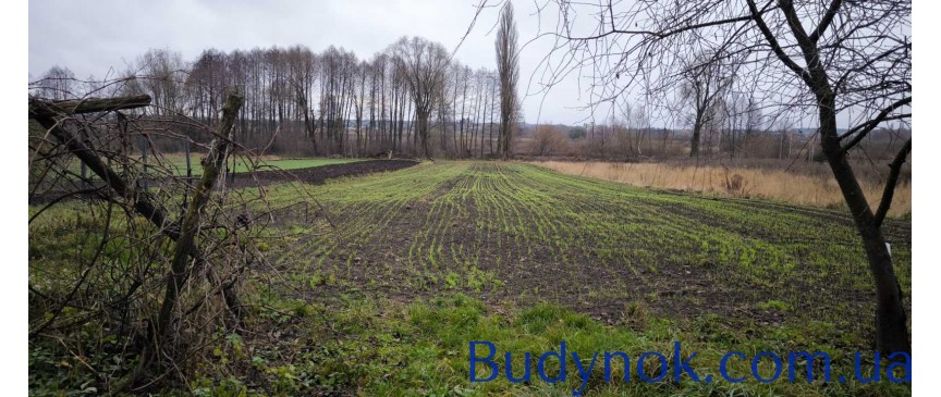 продаж 3-к будинок Брусилівський, Брусилів, 28500 $