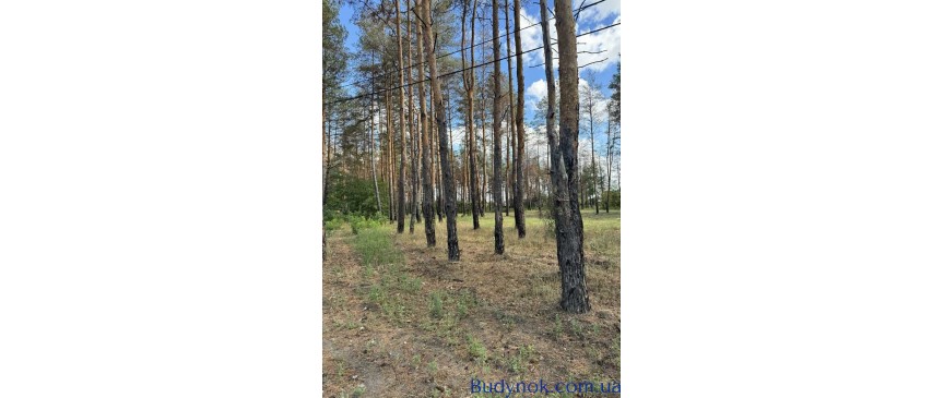 продаж ділянка під житлову забудову Новомосковський, Піщанка, 12500 $