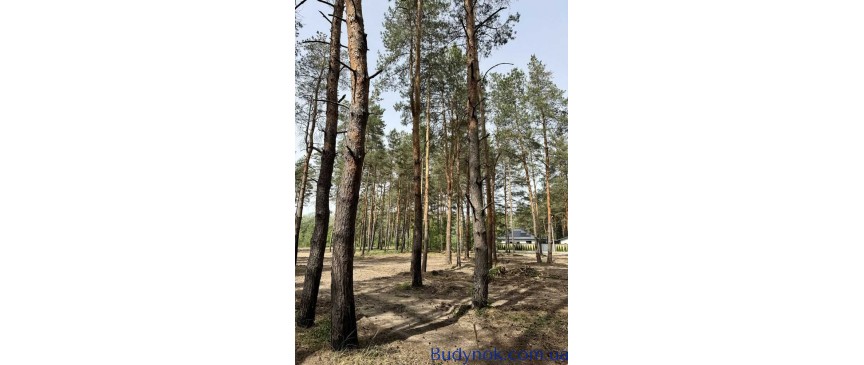 продаж ділянка під житлову забудову Новомосковський, Піщанка, 25000 $