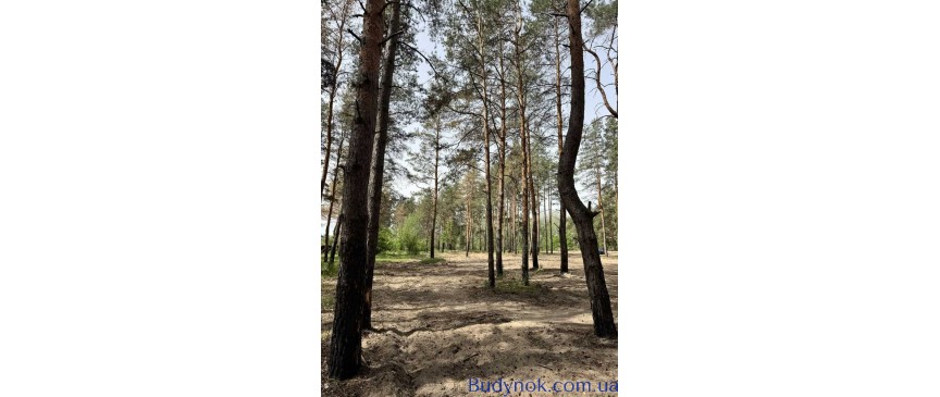 продаж ділянка під житлову забудову Новомосковський, Піщанка, 25000 $