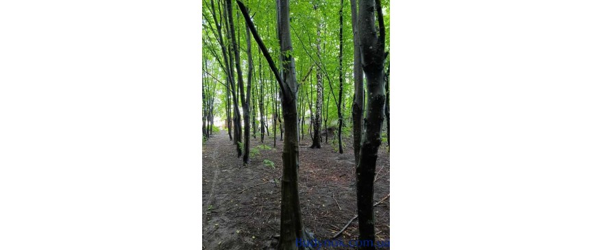 продаж ділянка комерційного призначення Київ, Голосіївський, 400000 $