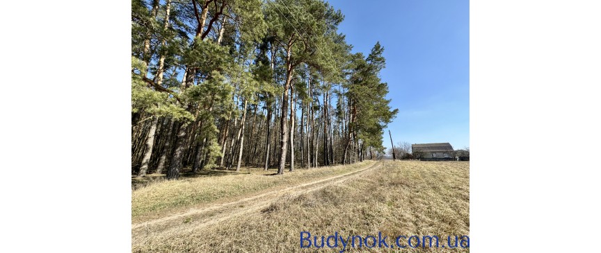 Продам земельну ділянку в селі Сосонка. Біля лісу. Під будівництво. 