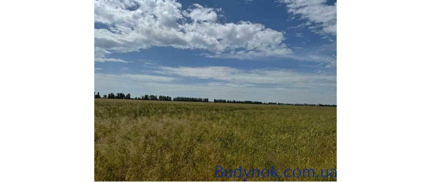 продаж ділянка під житлову забудову Бориспільський, Велика Олександрівка, 38829200 грн.