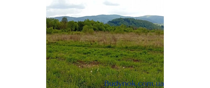 продаж ділянка комерційного призначення Свалявський, Неліпино, 148350 $