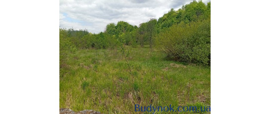 продаж ділянка комерційного призначення Свалявський, Неліпино, 148350 $