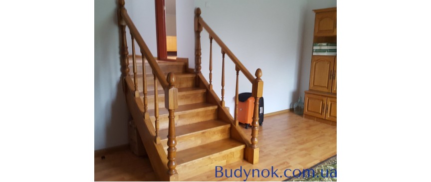 Продам 2 эт. кирпичный дом 225 кв.м. на Оболоне,с.к Чернобылец