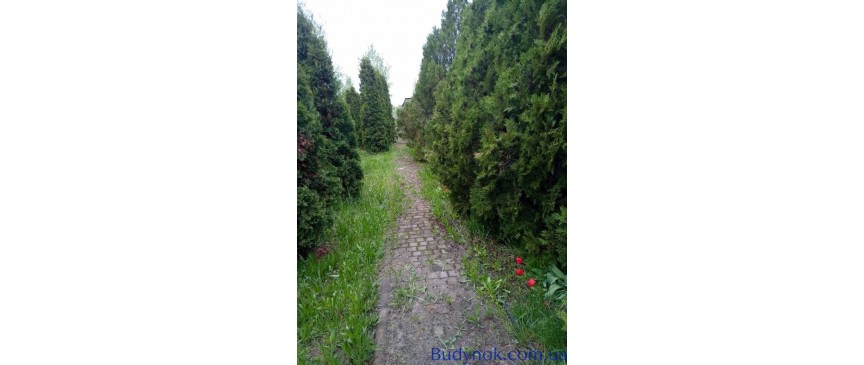 Продам великолепный дом на берегу р. Самара, пос.Новоселовка.