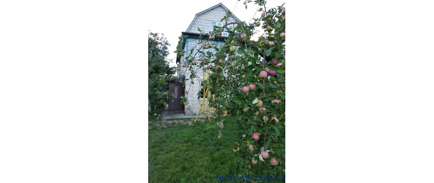 Продам дачу 110м2  Миколаївка (Макаровський) 8 сотокз зручностями