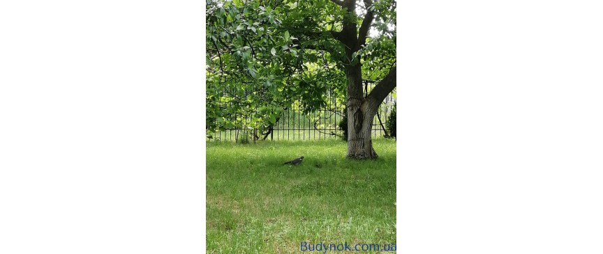 Продам дачу 110м2  Миколаївка (Макаровський) 8 сотокз зручностями