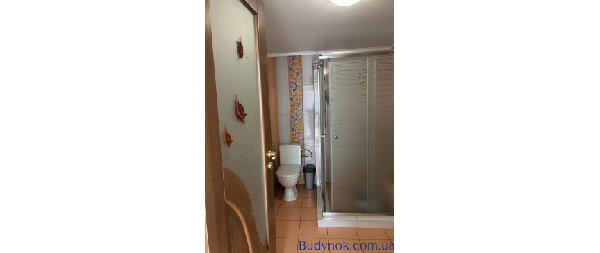 Продам дачу 110м2  Миколаївка (Макаровський) 8 сотокз зручностями