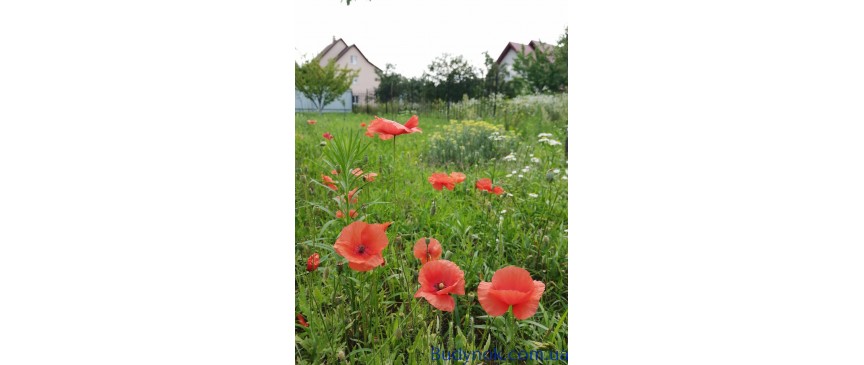 Продам дачу 110м2  Миколаївка (Макаровський) 8 сотокз зручностями