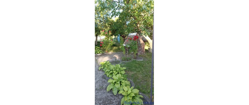 Продам дачу 110м2  Миколаївка (Макаровський) 8 сотокз зручностями