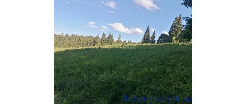 Земельна ділянка в с.Яблуниця