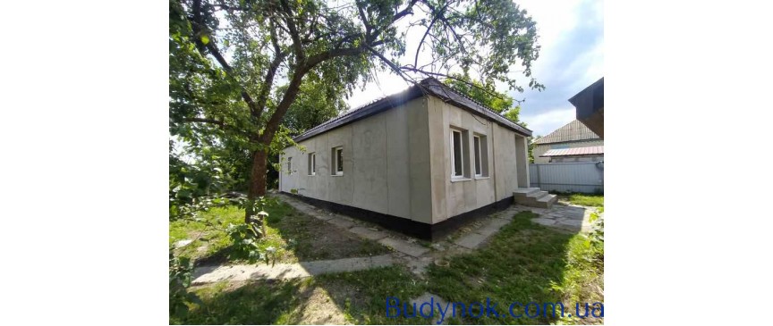 продаж 4-к будинок Броварський, Шевченкове, 40000 $