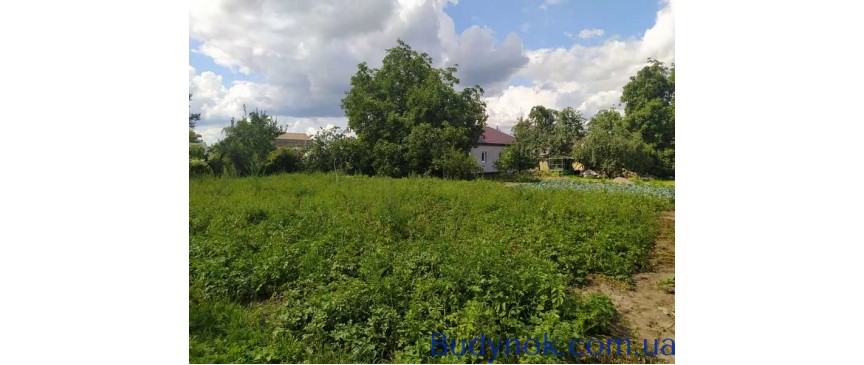 продаж 4-к будинок Броварський, Шевченкове, 40000 $