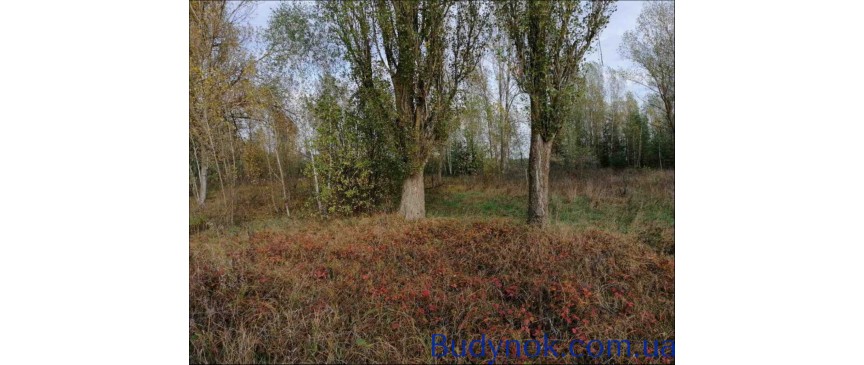продаж земля комерційного призначення Макарівський, Макарів, 132500 $