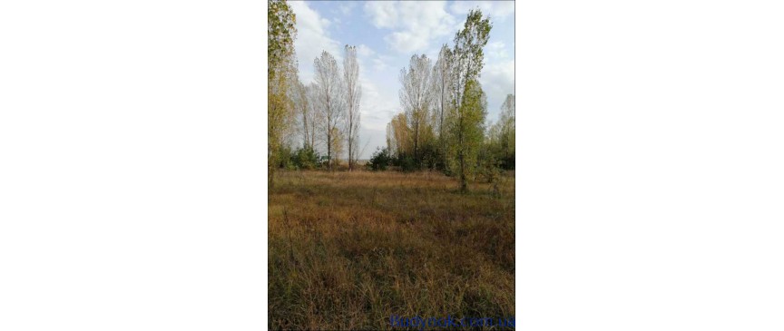 продаж земля комерційного призначення Макарівський, Макарів, 132500 $