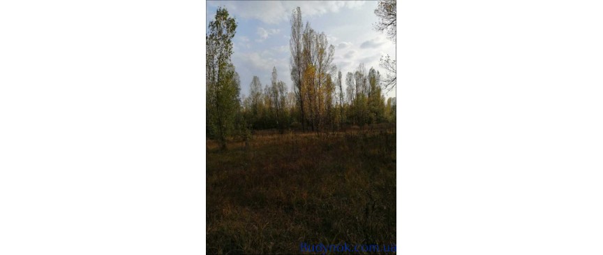 продаж земля комерційного призначення Макарівський, Макарів, 132500 $