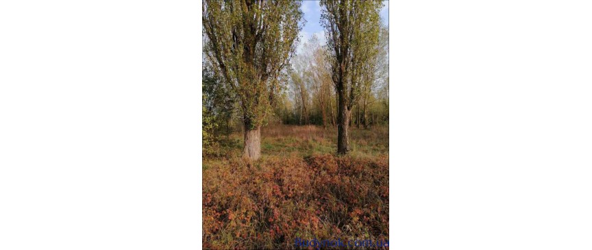 продаж земля комерційного призначення Макарівський, Макарів, 132500 $