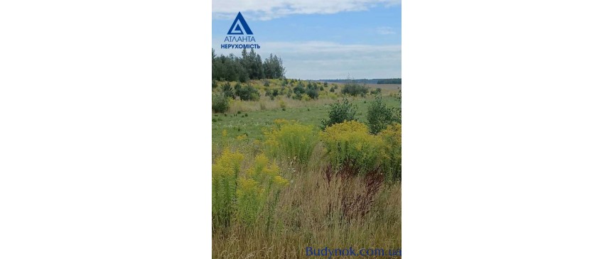 продаж ділянка сільськогосподарського призначення Луцьк, Гаразджа, 6000 $