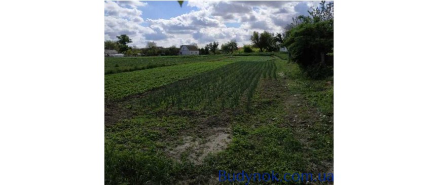продаж ділянка під житлову забудову Броварський, Русанів, 4000 $