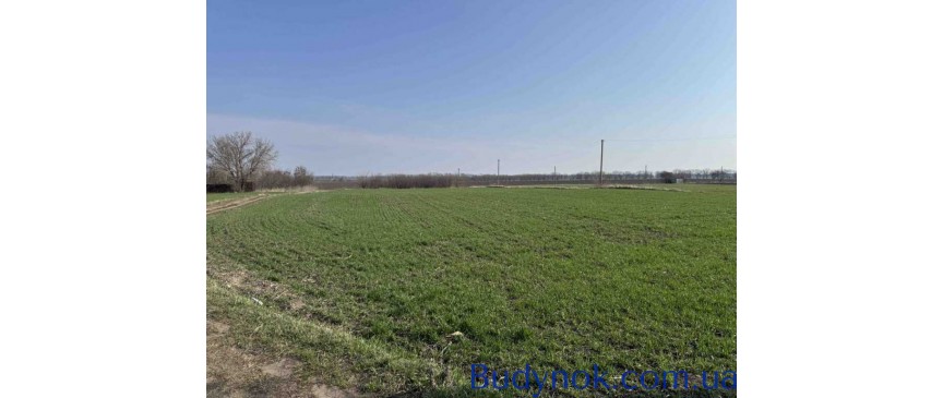 продаж ділянка під житлову забудову Білоцерківський, Дрозди, 18000 $
