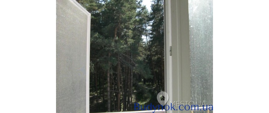 Однокомнатная квартира с ремонтом с видом на сосновый лес