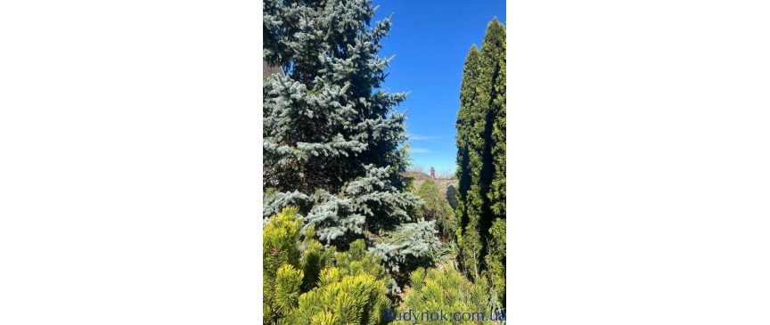 довгострокова оренда 5-к будинок Києво-Святошинський, Горенка, 1200 $/міс.