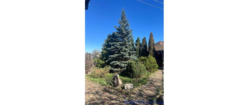 довгострокова оренда 5-к будинок Києво-Святошинський, Горенка, 1200 $/міс.