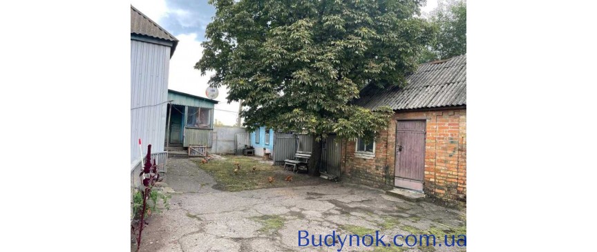 продаж 3-к будинок Недригайлівський, Вільшана, 36000 $