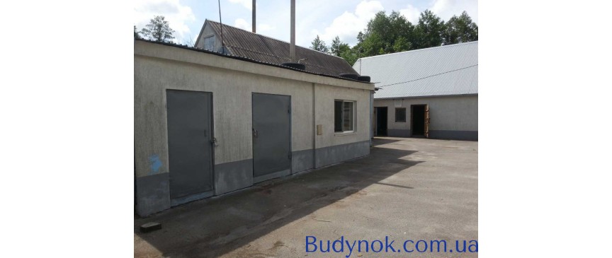 продаж 6-к будинок Васильківський, Крушинка, 260000 $