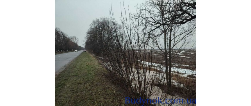 продаж ділянка сільськогосподарського призначення Бориспільський, Гора, 130000 $
